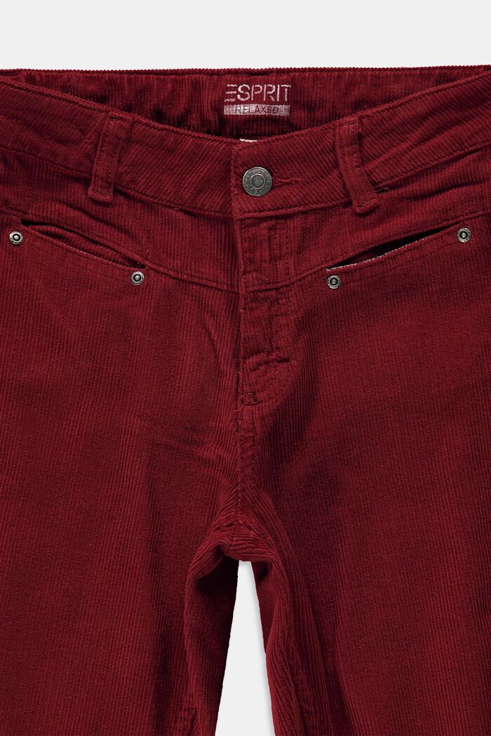 Corduroy broek van katoen, DARK RED, detail image number 2