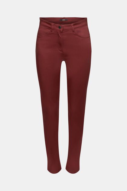 Chino, BORDEAUX RED, overview
