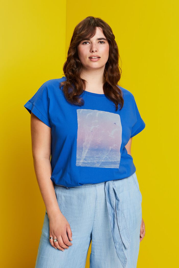CURVY T-shirt met print op de voorkant, 100% katoen, BRIGHT BLUE, detail image number 0