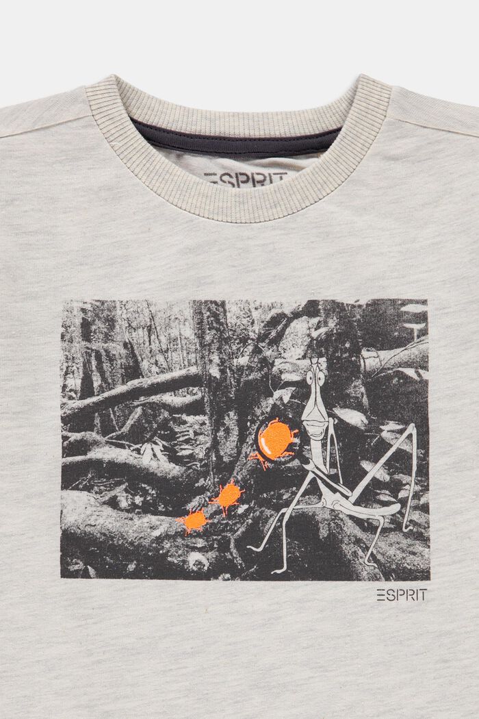 T-shirt met print van 100% katoen, SILVER, detail image number 2