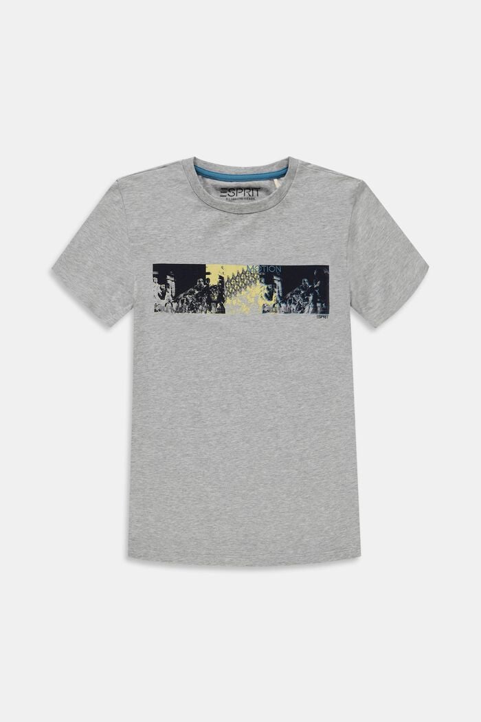 T-shirt met print van een viscosemix, PASTEL GREY, detail image number 0