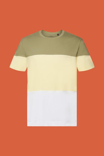 T-shirt met colour block, 100% katoen