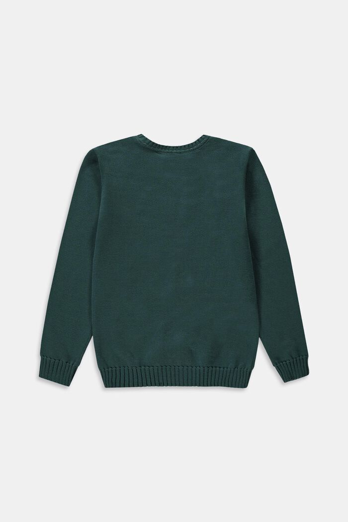 Sweaters, TEAL GREEN, detail image number 1