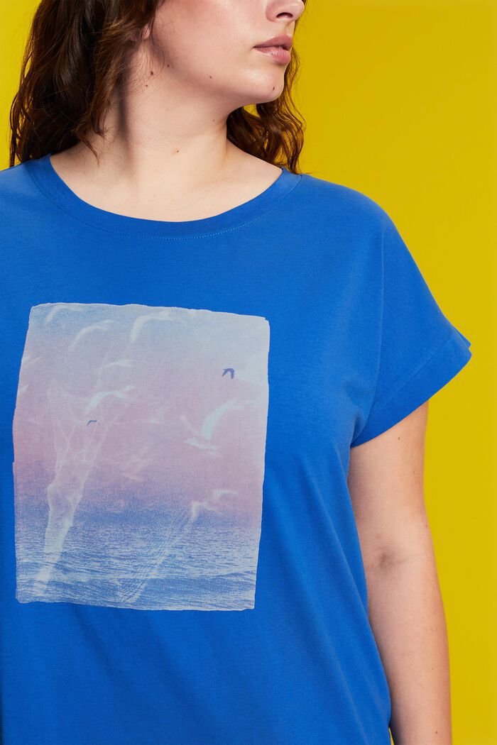 CURVY T-shirt met print op de voorkant, 100% katoen, BRIGHT BLUE, detail image number 2