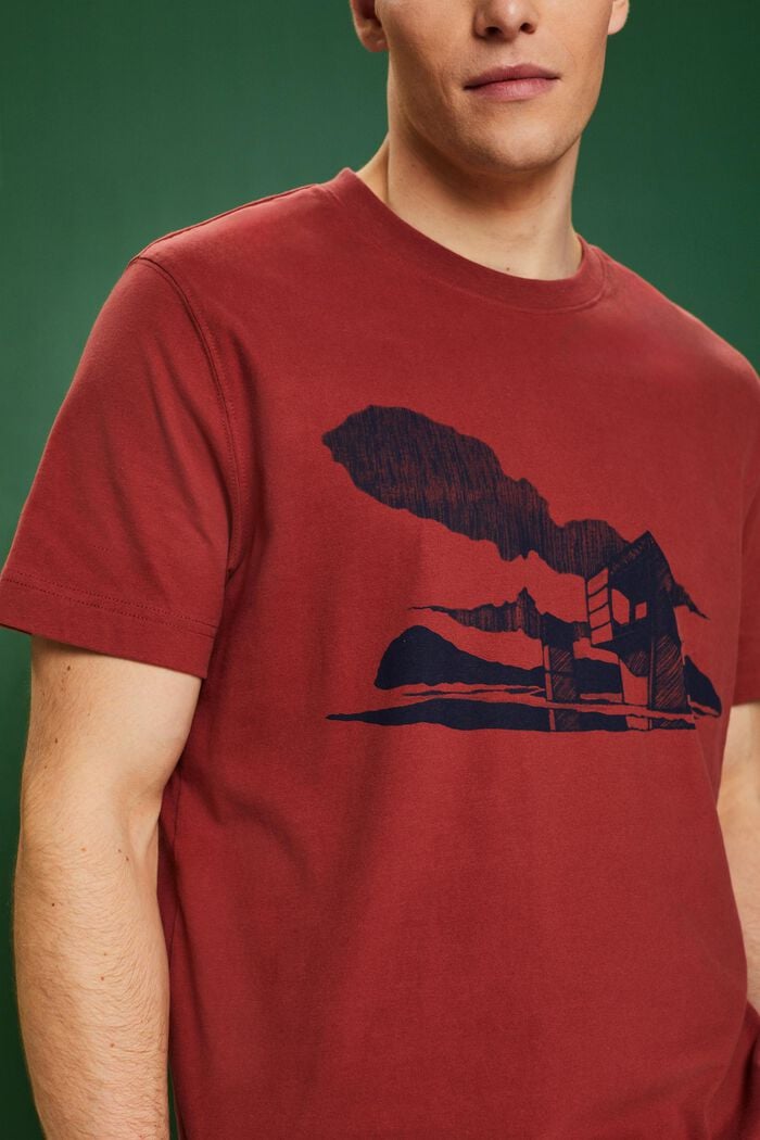 Grafisch  T-shirt met print, TERRACOTTA, detail image number 2