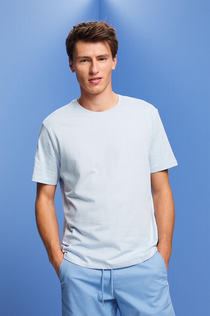 Jersey T-shirt met print op de achterkant, 100% katoen, PASTEL BLUE, detail image number 0