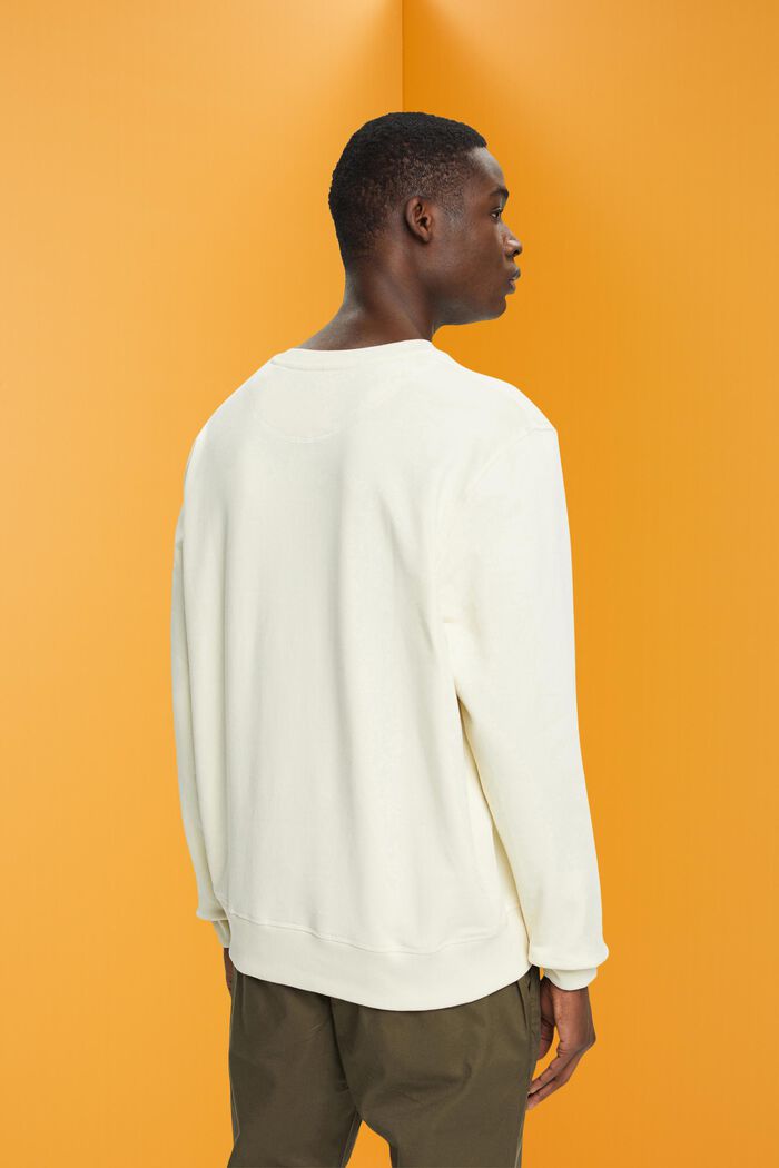 Sweatshirt met print op de voorkant, ICE, detail image number 3