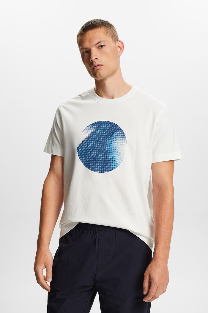 T-shirt met print op de voorkant, 100% katoen, ICE, detail image number 0