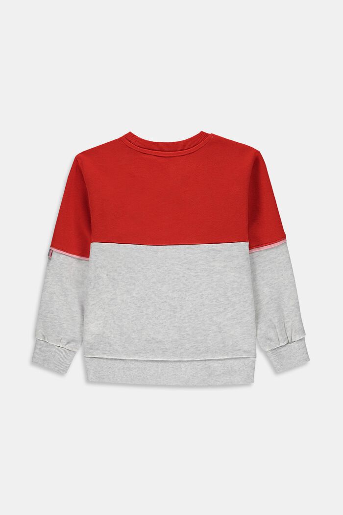 Sweatshirt met reflecterende print, RED, detail image number 1