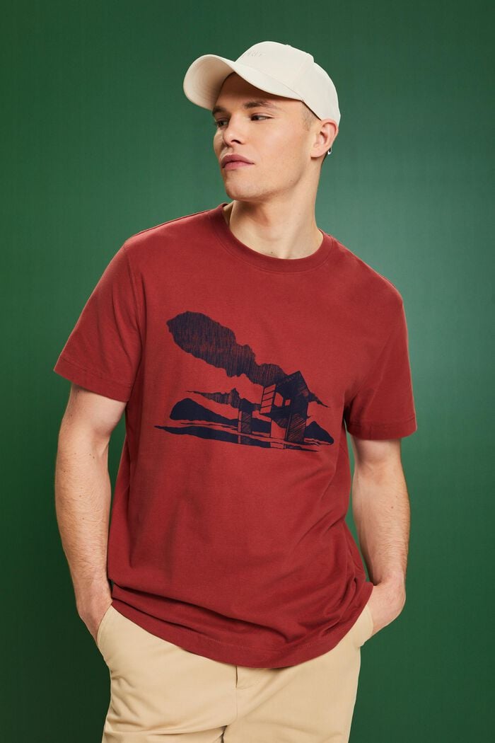 Grafisch  T-shirt met print, TERRACOTTA, detail image number 0