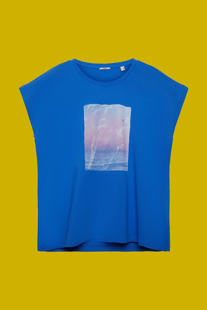 CURVY T-shirt met print op de voorkant, 100% katoen, BRIGHT BLUE, detail image number 5