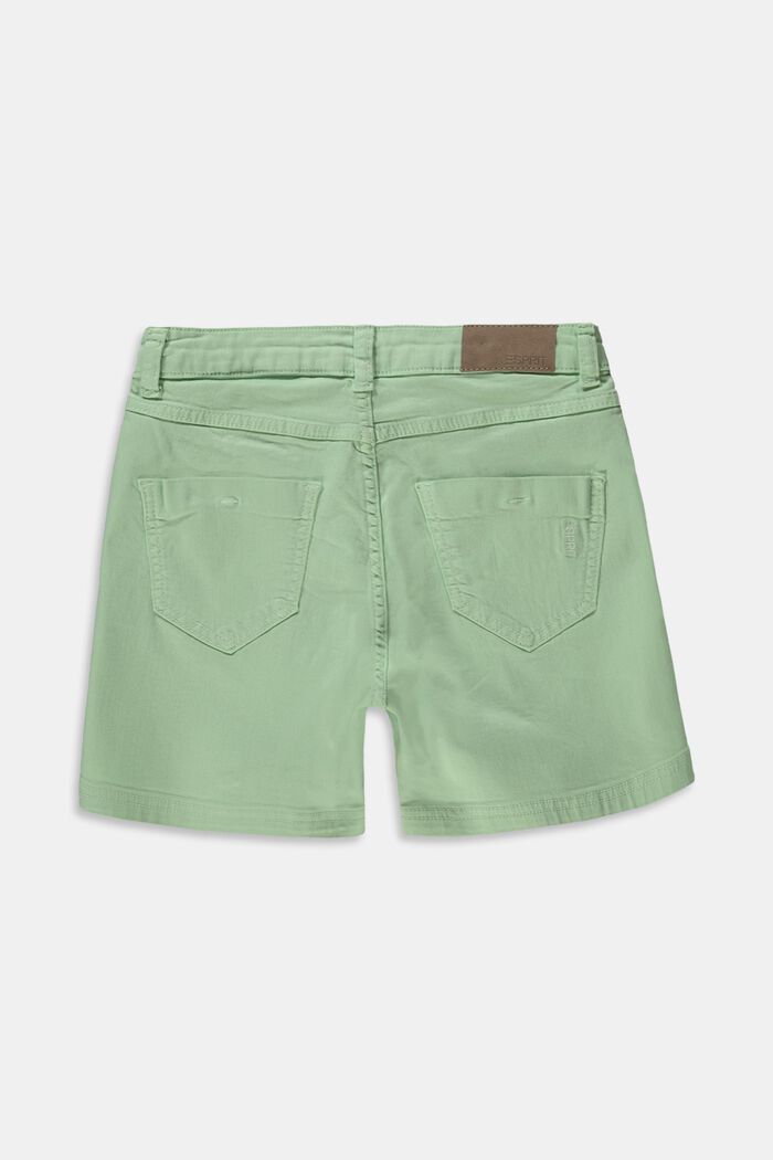Gerecycled: Short met verstelbare band, PISTACCHIO GREEN, detail image number 1