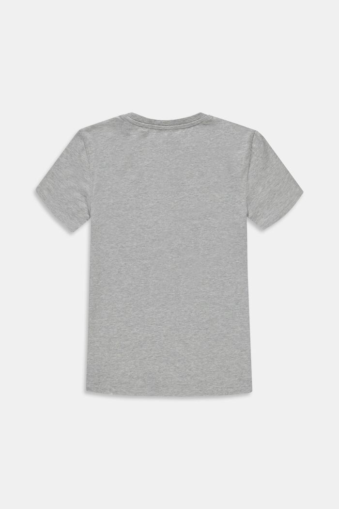 T-shirt met print van een viscosemix, PASTEL GREY, detail image number 1