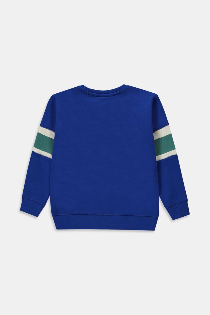 Sweatshirts, BRIGHT BLUE, detail image number 1